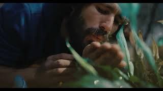 Clash Discs Nikko Locastro Signature Line Ginger - The Magic of Mr. Gardener