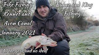 Pike fishing the Kennet and Avon Canal January 2021