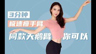 Slim arms in 7 days 碎片时间3分钟高效瘦手臂| 硬核消除拜拜肉| 跟练7天拥有纤细天鹅臂