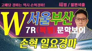 고배당 경마는 역시 손혁 경마 6/01 (일) 서울/부산 복병마 내용을 확인해 보세요!!