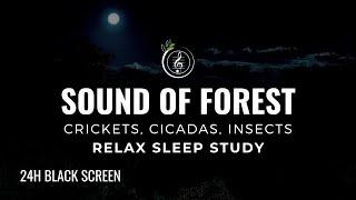 Sound of FOREST, Crickets, Cicadas, Insects | 24h NATURE SOUND FOR SLEEP, MEDITATION, & FOCUS 