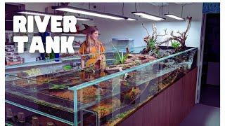 INCREDIBLE 1000L Sloped River Tank at Atlas Aquariums!