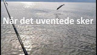 Når det uventede sker