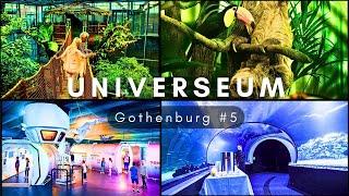 Universeum - An absolute MUST when in Gothenburg│Sweden Trip #5