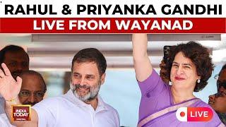 Rahul Gandhi LIVE | Priyanka Gandhi LIVE | Wayanad By-Election Public Meeting | India Today LIVE