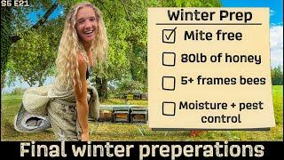 Is Your Hive TOO SMALL To Overwinter Successfully? Beekeeping 101 #beekeeping