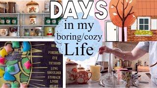 DAYS in my life - Hausarbeit, Thriften, Gruseliges und viel Molly ️