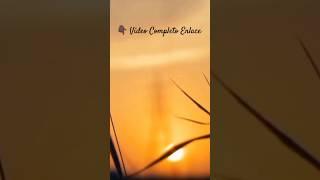Sonido del VIENTO al ATARDEDER🪔Relajantes Sonidos NATURALES para CONCENTRARSE y ESTUDIAR #sunset