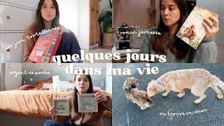 VLOG・On trouve un chien, trouvailles jeux et argent de poche┆Alyssia