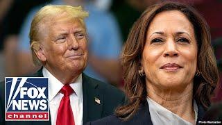 Trump vs. Harris will come down to 2 states: Rove