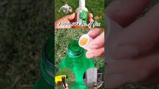 Disinfection and Biosecurity for Poultry Birds | Chicken Safety | Dr. ARSHAD