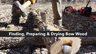 How To Find & Prepare Bow Wood