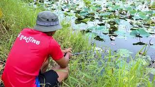 Best Video Hook Fishing in Village Canal- Wow boy Fishing -  Amazing Hook Fishing in Rainy