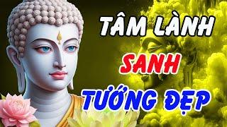 Người Có Tâm Tốt Tướng Mạo Tự Đẹp Ra – Phật Dạy Bí Quyết Không Ai Ngờ Tới!