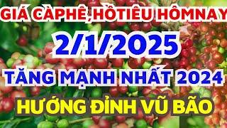 Giá cà phê hôm nay ngày 2/1/2025/Giá hồ tiêu hôm nay