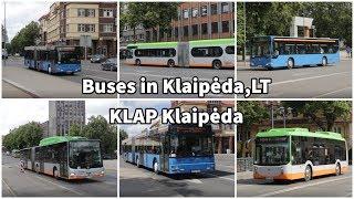 Buses in Klaipėda,LT | KLAP Klaipėda