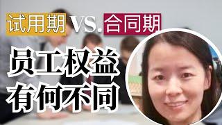 【劳动法 | 在美国当雇员（2）】试用期员工有哪些权益？What are the rights of employees during probation period?