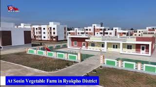 New Free Houses at Sosin Vegetable Farm [English]