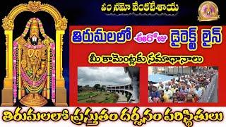 ఈరోజు కూడా డైరెక్ట్ లైన్ | tirumala darshan update | tirumala darshan updates today