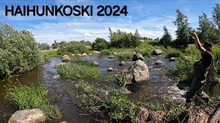 Haihunkoski kalastelua mikrojigeillä 2024 | KALASSA#14