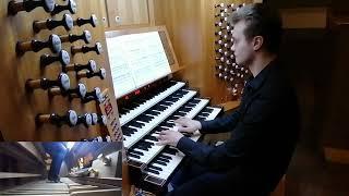 J.G.Rheinberger - Passacaglia e-moll /from Organ Sonata №8 op.132/ - Stanislav Yakovlev /organ/