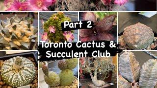 Plant shopping @ The Toronto Cactus & Succulent Club (Part 2) ​⁠@torontocactusandsucculentc162