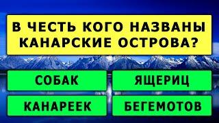 Вы - редкий ИНТЕЛЛЕКТУАЛ, если наберете хотя бы 6 из 20 правильных ответов. Тест на эрудицию