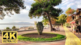 4K Cycling along the Gelendzhik embankment