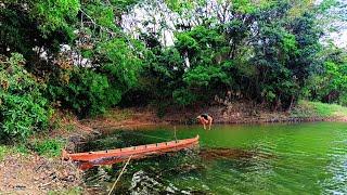 SOLO CAMPING FISHING,BERLINDUNG DI SHELTER AKAR,DAPAT IKAN BETUTU DAN RED DEVIL