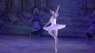 Anna Sophia Scheller in IBT's THE NUTCRACKER (2)