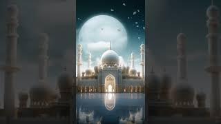 Bokhari Sunni network @