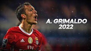 Alejandro Grimaldo - Technical Wingback - 2022ᴴᴰ