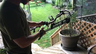 Bear Archery Species Jims new bow first time shooting