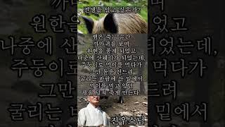 전생을 알고 싶은가? - 진우스님의 오늘의 명상  #불교 #명상 #조계종