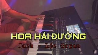 HOA HẢI ĐƯỜNG (ĐÀN ORGAN) - JACK - LỘC ORGAN COVER