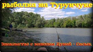 Знакомство с каналом Дунай - Сасык. И рыбалка на Турунчуке в Троицком.