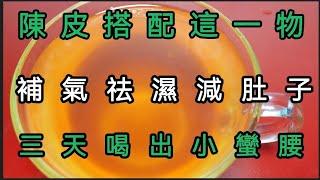 陳皮搭配這一物，補氣祛濕減肚子，三天就喝出小蠻腰【軒媽說美食】