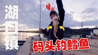 到底是谁抢谁！来海豹的地盘钓鱼，收获到底如何？#墨尔本钓鱼#lakeentrancefishing