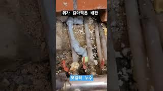 쥐가 갉어 먹은 배관 #보일러누수 #누수 #chill #cover