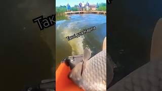 Рибалка в кайф #рибалка #fishing #shortsfishing