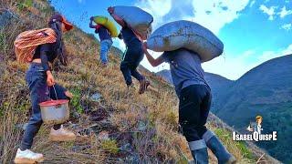 Lleve almuerzo a mi hermano - Miren como es el Trabajo en el Campo es muy Duro | Isabel Quispe