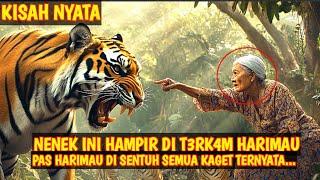 KISAH NYATA! NENEK INI HAMPIR DI T3RK4M HARIMAU, PAS HARIMAU DI SENTUH SEMUA KAGET TERNYATA