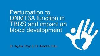 Dr. Tovy & Dr. Rau, "Perturbation to DNMT3A function in TBRS and impact on blood development"