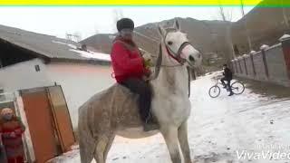 #Жайлоодо.Жыргалбек Жангозуев