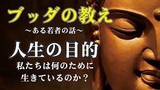 【ブッダの教え】人生の目的｜私たちは何のために生きているのか？｜物語｜人生の真実