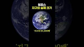 원피스 지구의 실제 크기 ㄷㄷㄷ