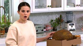 Selena+Chef season 2: Selena & the jackfruit (funny moments)