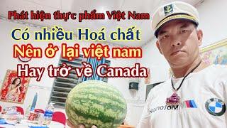 TRỞ VỀ CANADA HAY Ở LẠI VIỆT NAM  VÌ SAO ?  ?  ?