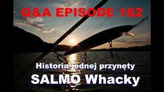 Q&A odcinek 182 - Historia SALMO Whacky