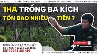 1HA TRỒNG BA KÍCH ĐẾN KHI THU HOẠCH TỐN BAO NHIÊU TIỀN ?